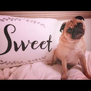 Meet your Posher, Chase